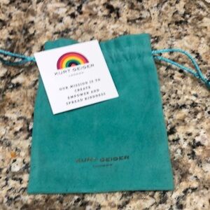 Kurt Geiger Turquoise Pouch